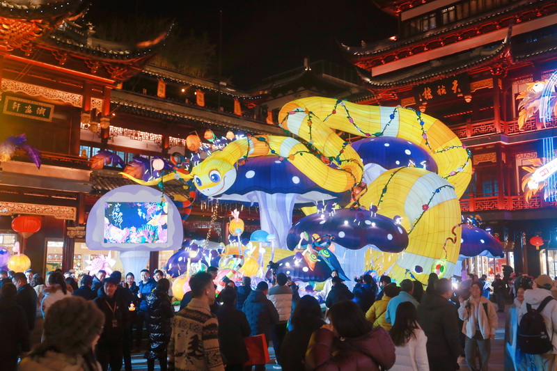 CCC20241230210020 (11).JPG